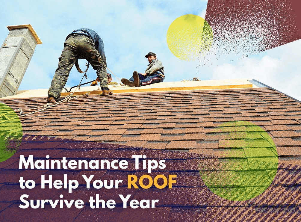 Maintenance Tips to Help Your Roof Survive the Year